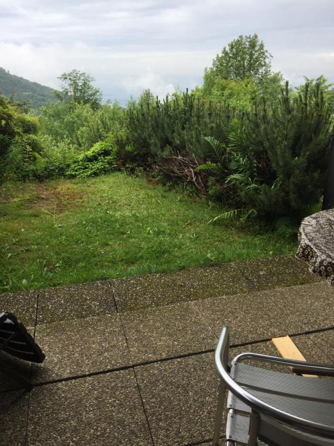 On The Hill Apartment Sasbachwalden Luaran gambar