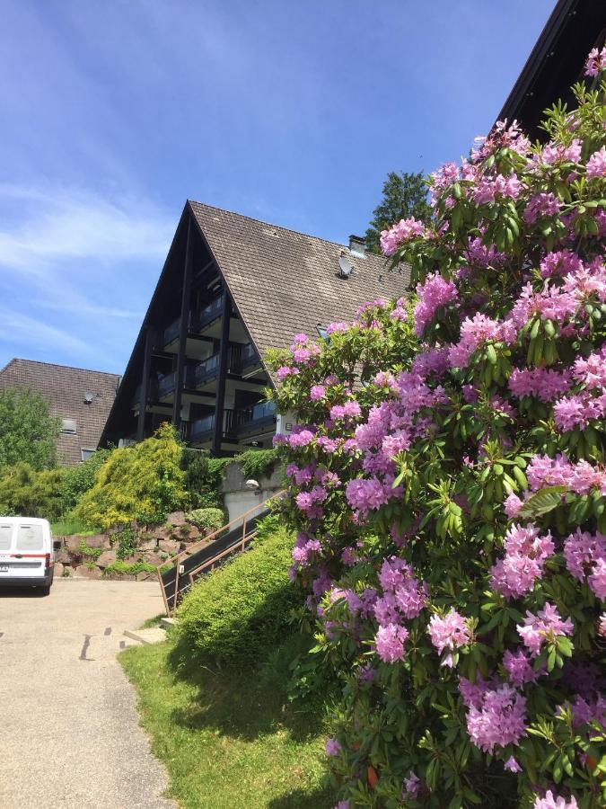 On The Hill Apartment Sasbachwalden Luaran gambar